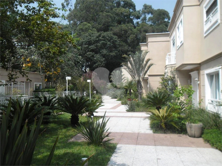 Foto REO44168