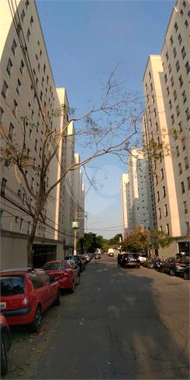 Venda Apartamento São Paulo Luz REO443093 19