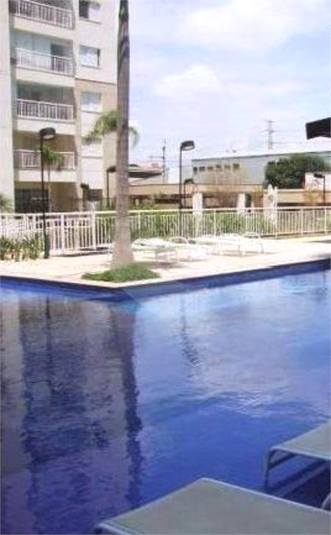Foto REO443168