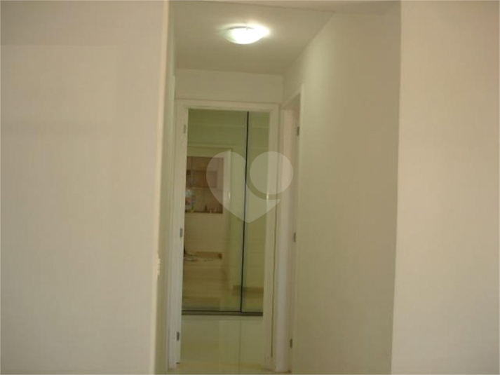 Foto REO443168