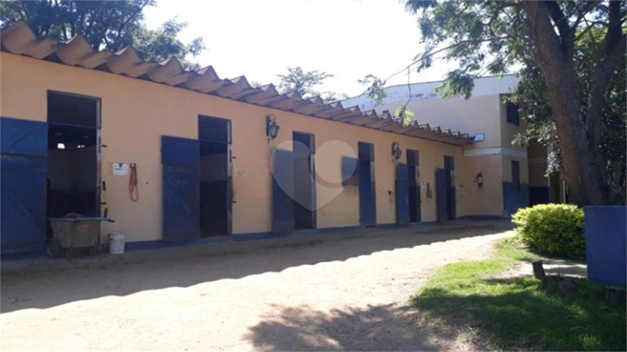 Foto REO443390