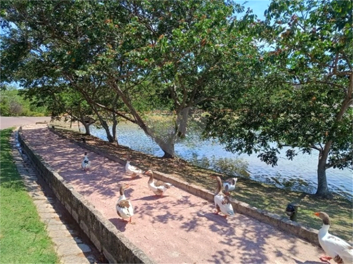 Foto REO443390