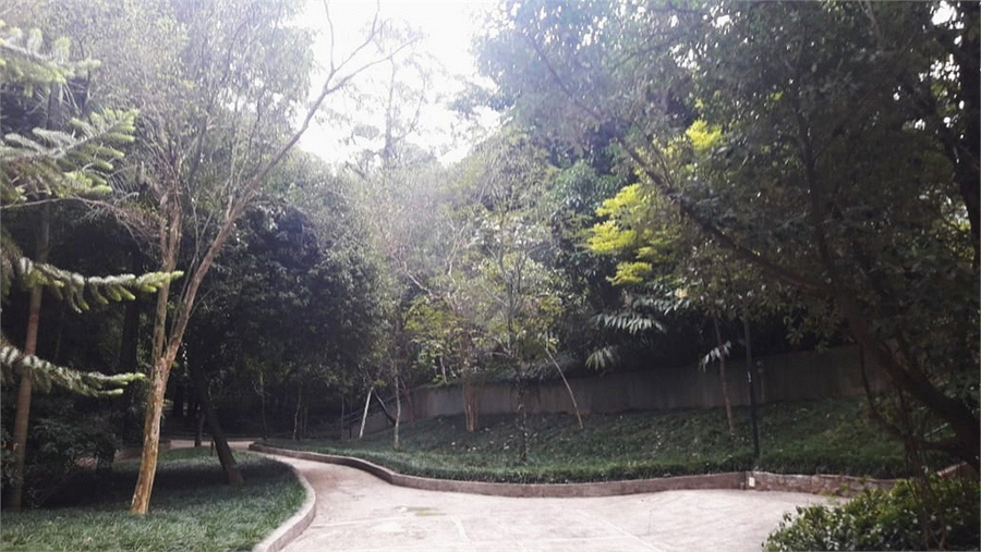 Foto REO443913