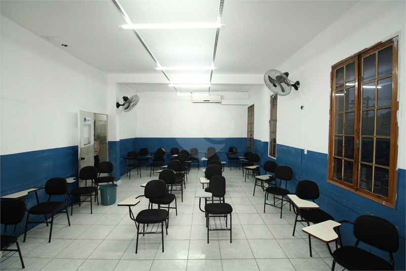 Foto REO444092