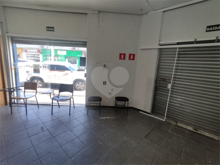 Foto REO444092