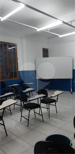 Foto REO444092