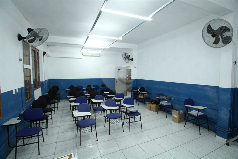 Foto REO444092