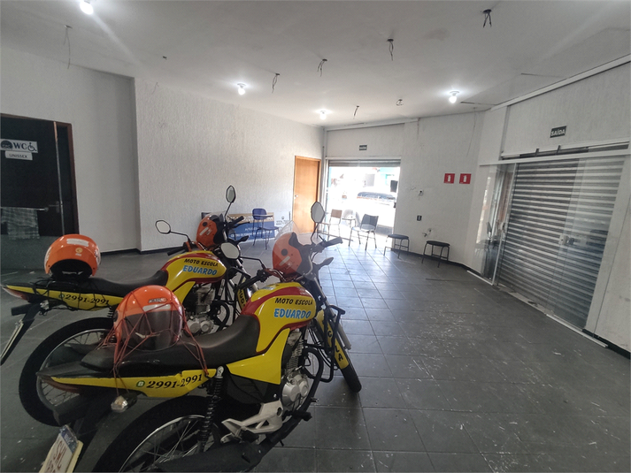 Foto REO444092