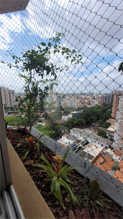 Venda Cobertura São Paulo Vila Paulicéia REO444320 23