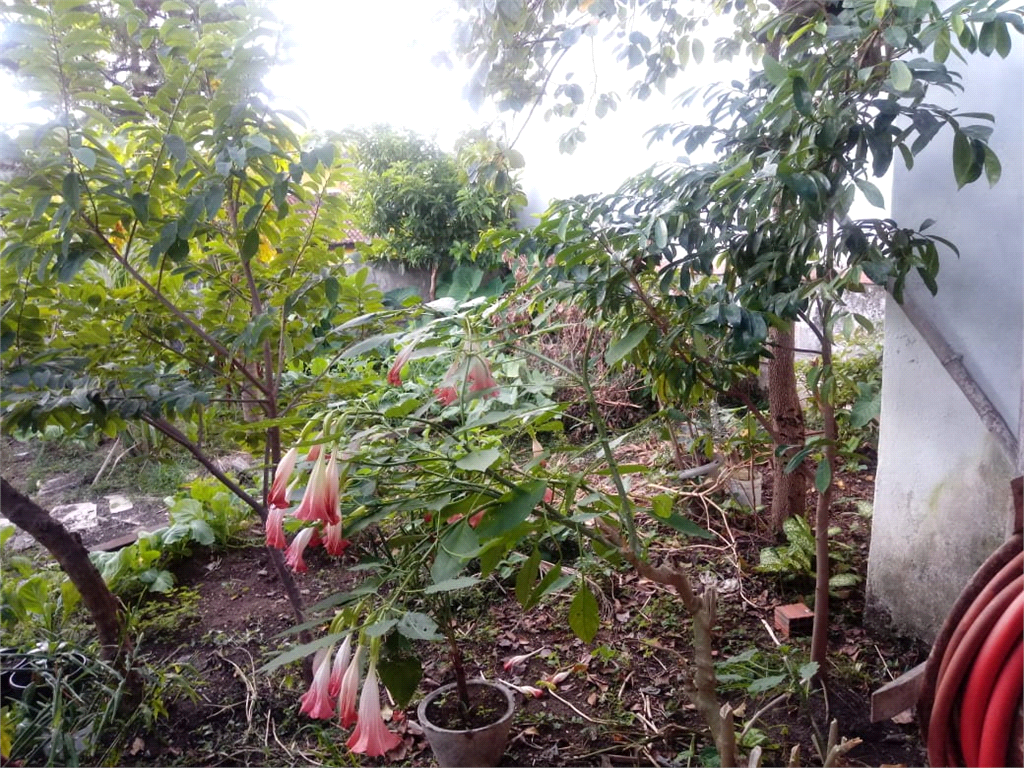 Venda Terreno São Paulo Parque Da Vila Prudente REO444550 11