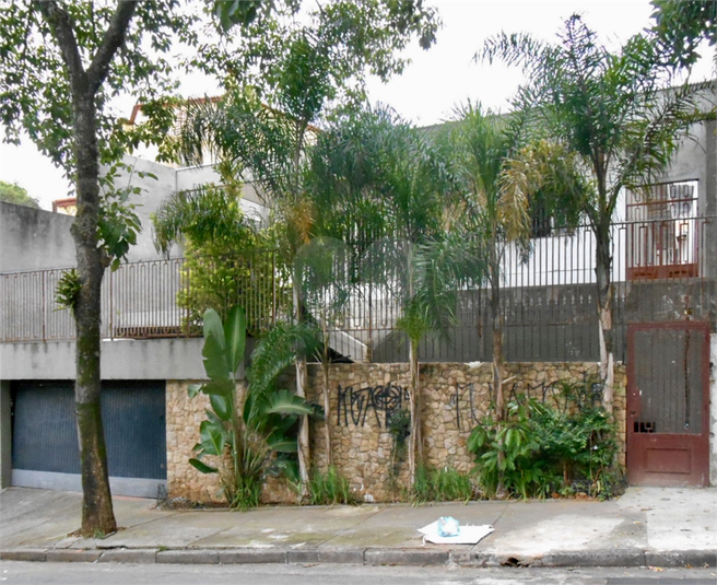 Foto REO44470