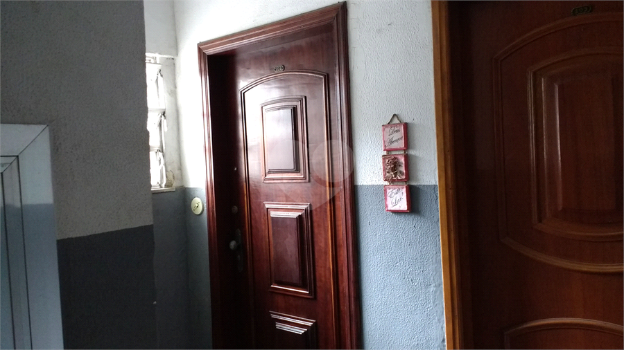 Foto REO444727