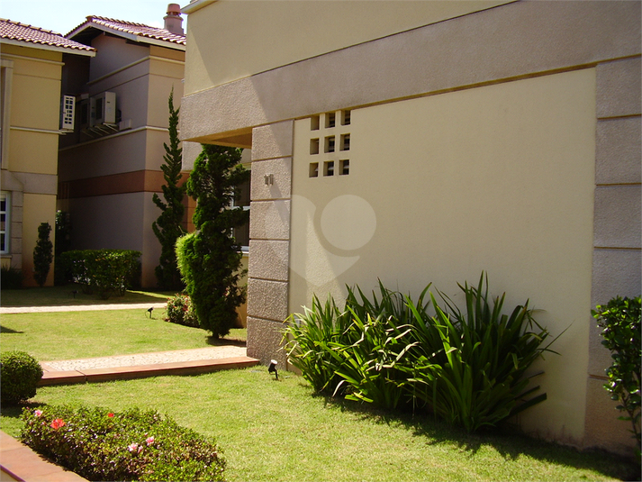 Foto REO444956