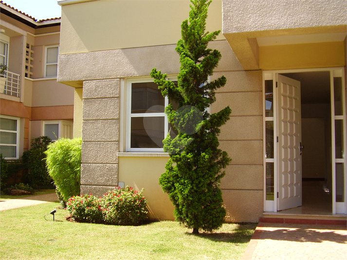 Foto REO444956