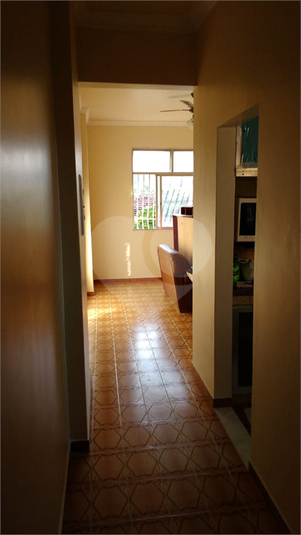Foto REO445341