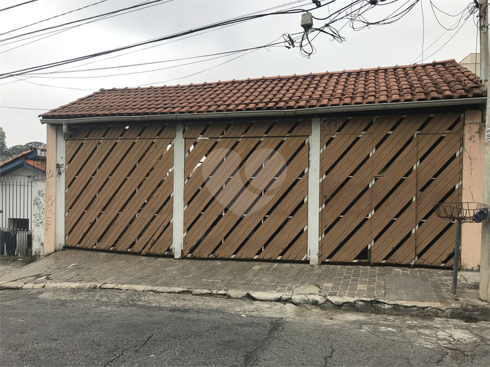Foto REO445417