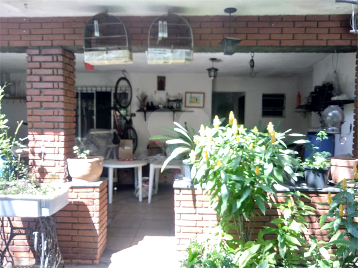 Foto REO445827