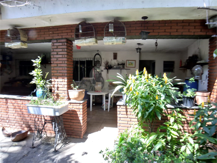Foto REO445827