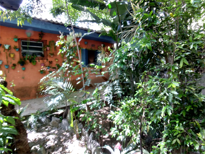 Foto REO445827
