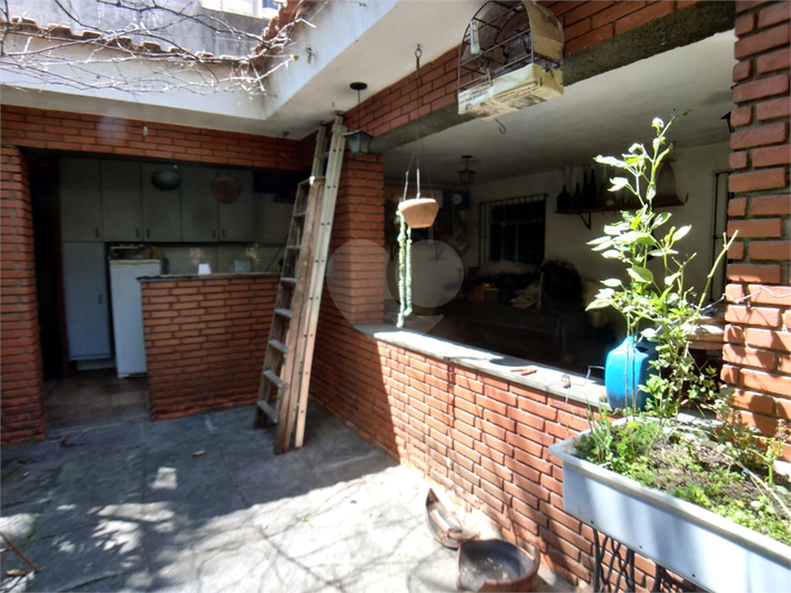 Foto REO445827