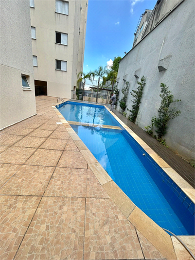 Foto REO446057