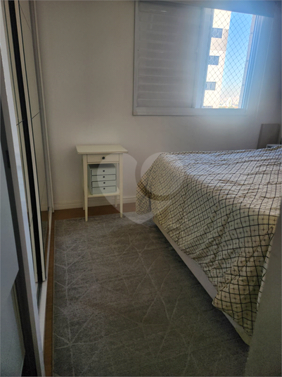 Foto REO446057