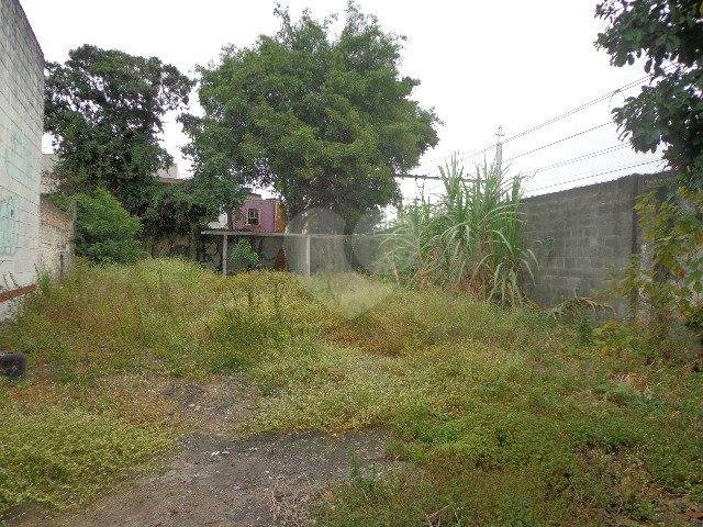 Venda Galpão São Paulo Água Branca REO44612 13