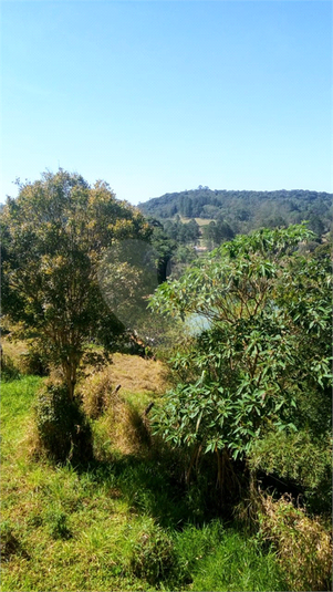 Foto REO446327
