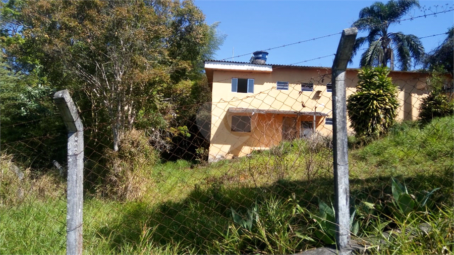Foto REO446327