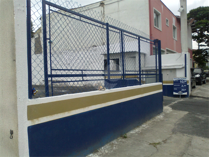Foto REO446385