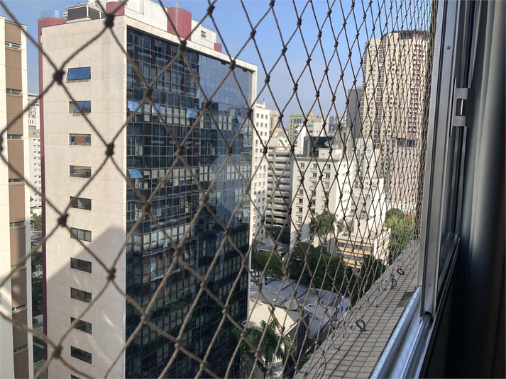 Foto REO446812