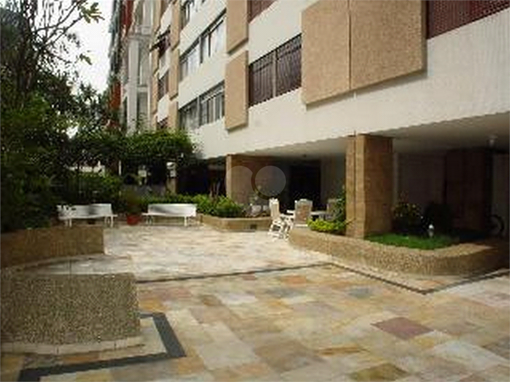 Foto REO446812