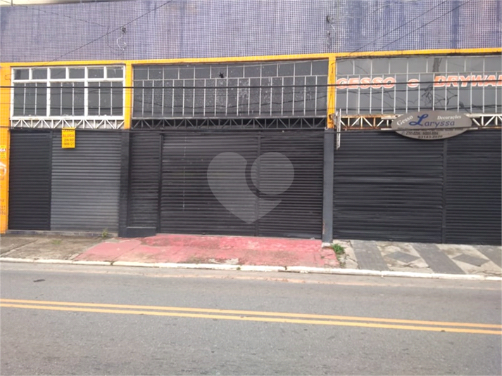 Foto REO446843