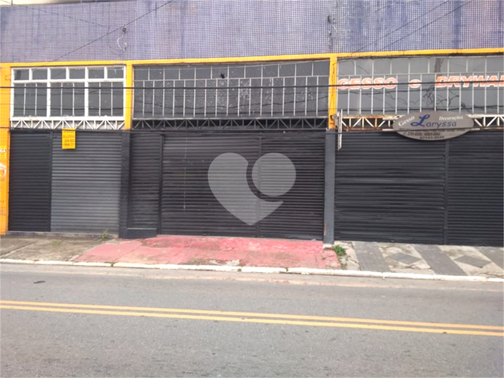 Foto REO446843