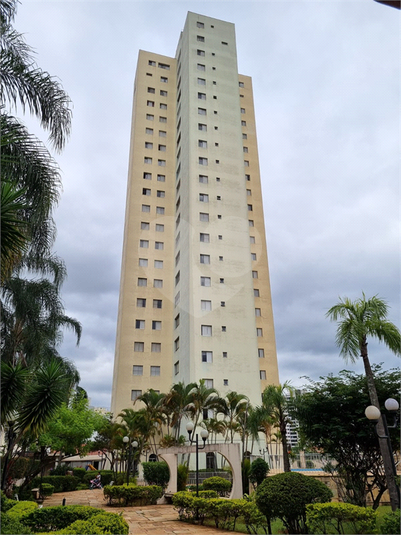 Venda Apartamento São Paulo Vila Gustavo REO446887 1