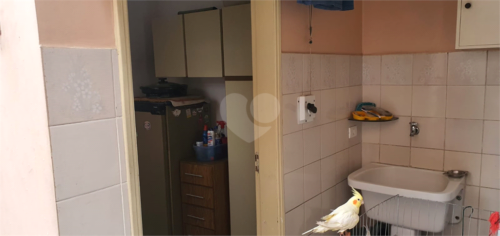 Venda Casa São Paulo Cupecê REO447035 67