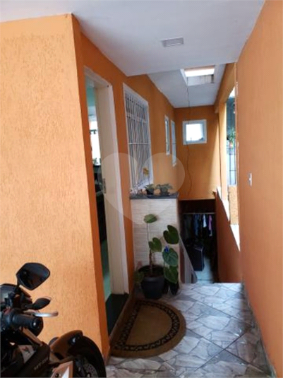 Foto REO447055