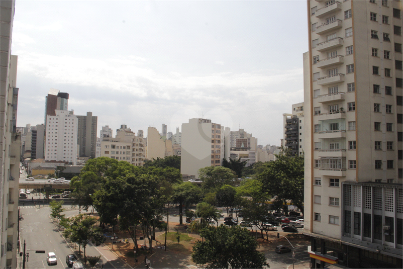 Foto REO447334