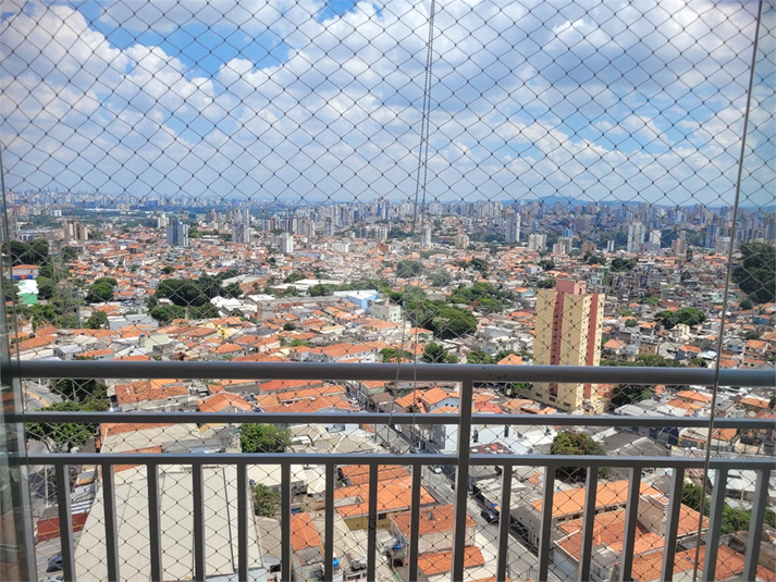 Foto REO447676