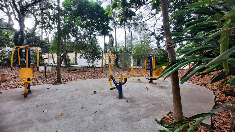 Foto REO44769