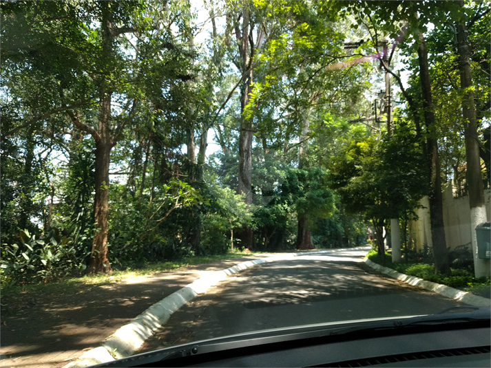 Foto REO44769