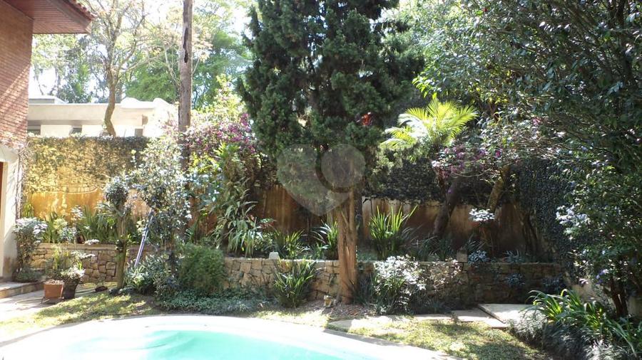 Foto REO44769