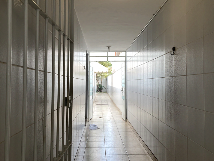 Foto REO447761