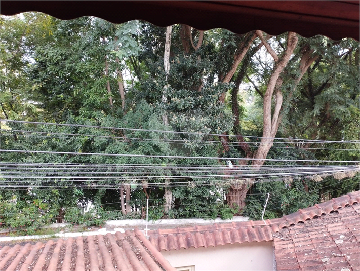 Foto REO448159