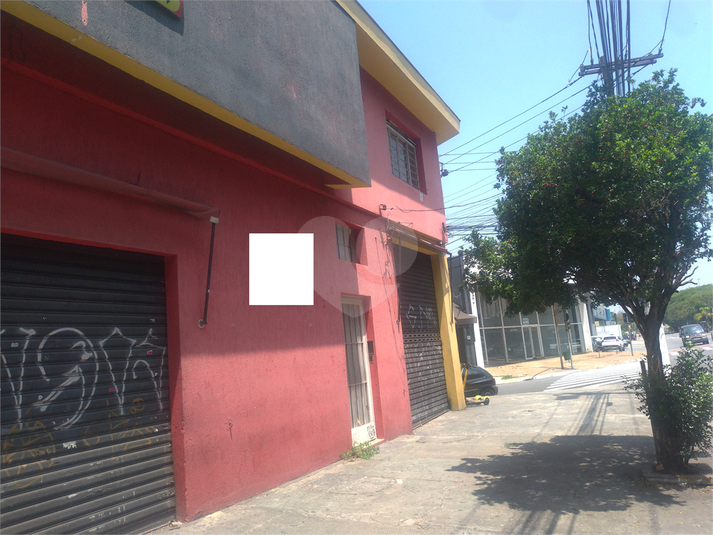 Foto REO448533
