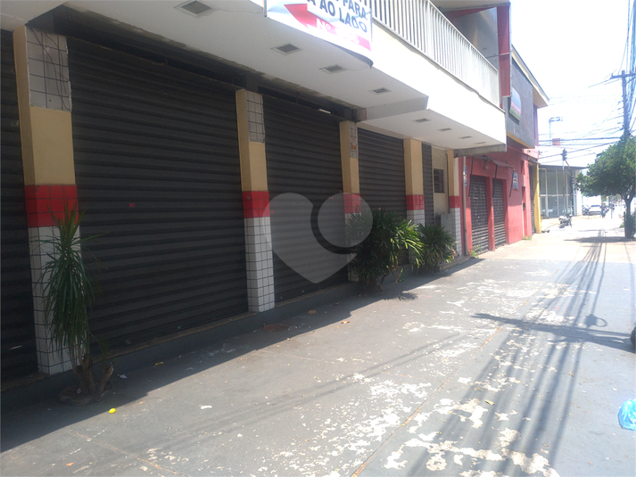 Foto REO448533