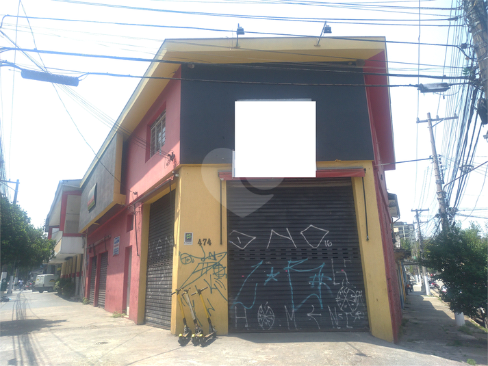 Foto REO448533