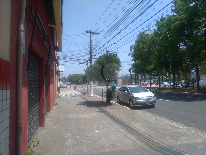 Foto REO448533