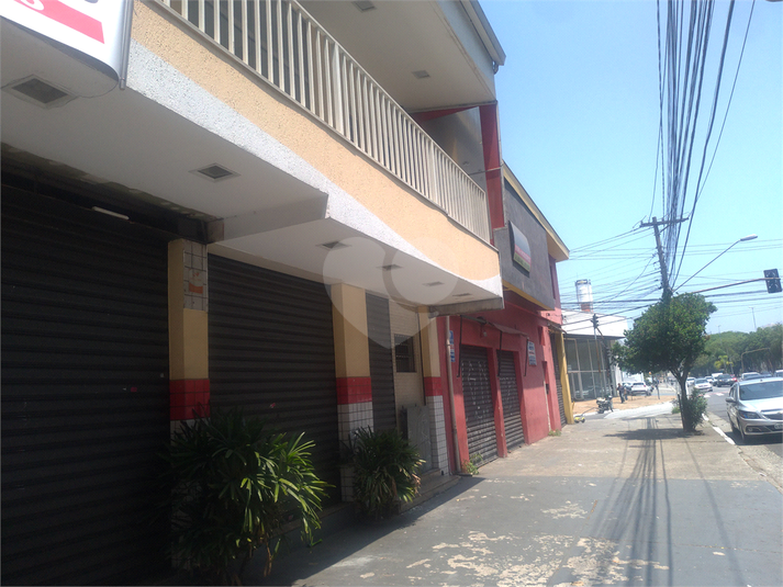 Foto REO448533