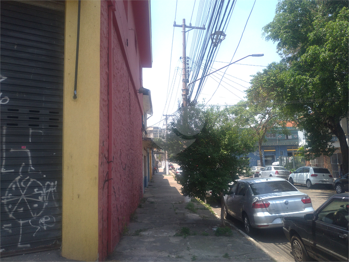 Foto REO448533